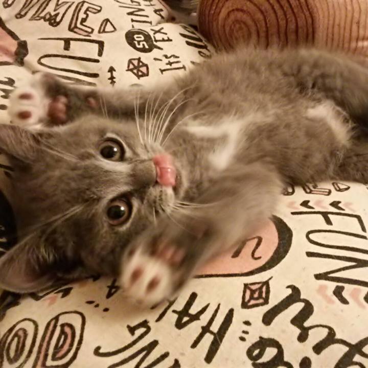 54d8b8fd 6c0b 41ed bbee fc7e57f8c985 1530793446221