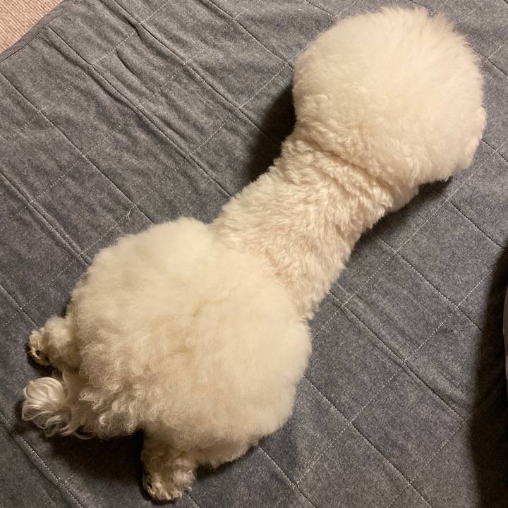 54d8c56d d4d3 4a5b a564 a8b4ada750de 1622116923133