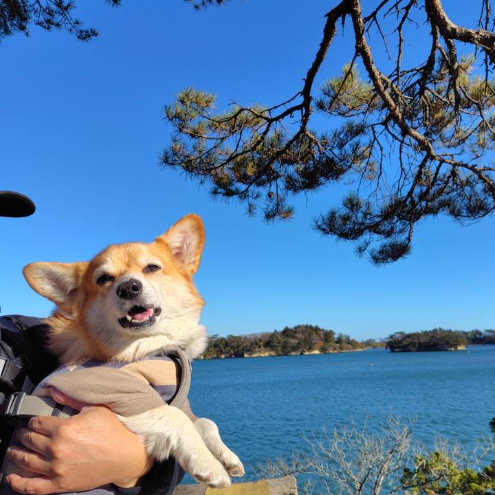 54d8d0a9 d6fe 4ccd bc7e 366e465fba52 1764414101977