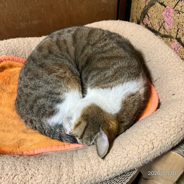 54d90880 206a 4c65 b8b9 24b1fe7dec38 1769724129214