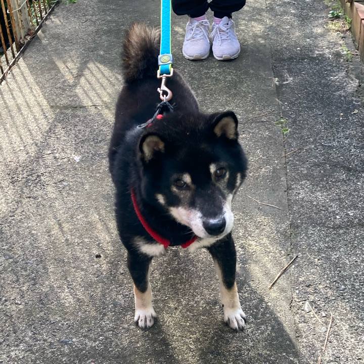 54d90f59 25e9 417d 80b2 f1b3cf79fff2 1633919783228