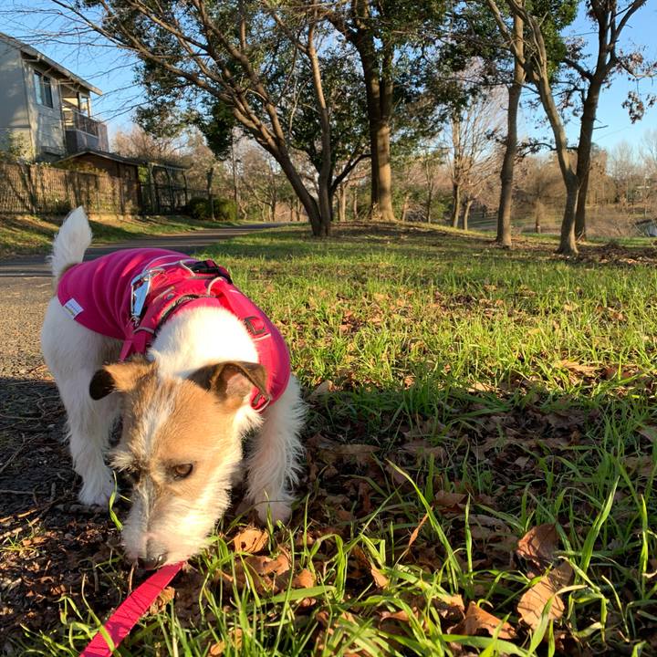 54d950c4 de0e 48af 8b79 c33345632c9d 1577863821072