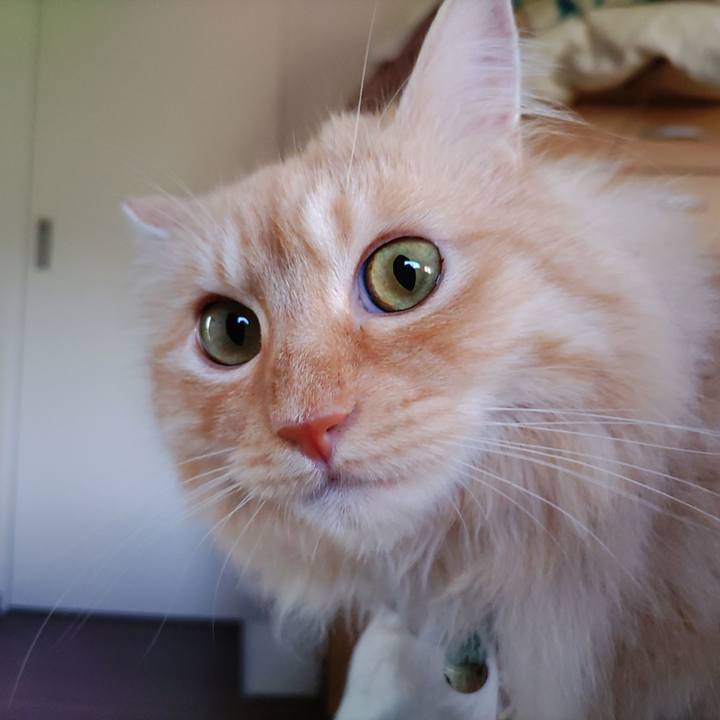 54d9552b c262 4ddb a5c0 331d75e17111 1688939765705