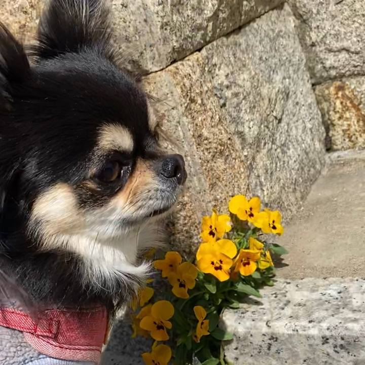 54d95b4f 8ca5 4d83 bba7 cf98759a0780 1616468226858