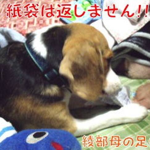 54d95d6e 57d8 4374 a7bd 3a7ca9d9fff8 1694997360417