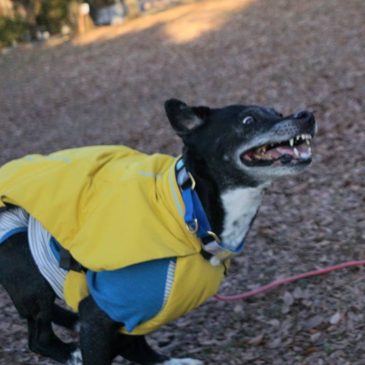 54d97c11 9283 4764 91e5 028759003a62 1768005350001