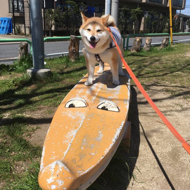 54d99937 c55b 49a6 b1d5 e37349f7219d 1552877090171