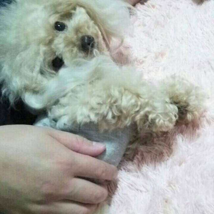 54da171e 32b6 4697 b4ff 9219c5b89483 1540296395600