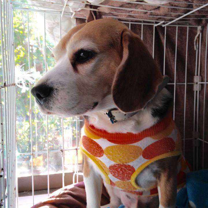 54da2cf1 b1a3 45a7 92e8 2a0b5cbdd3d7 1738454622960