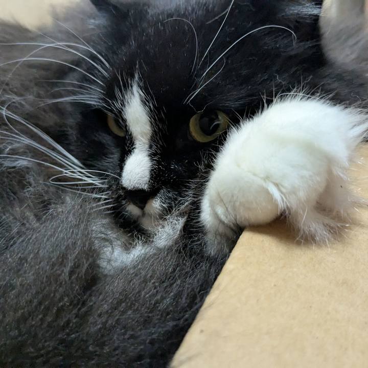 54da2e6e 97e2 4286 853b a85966843c57 1761567217323