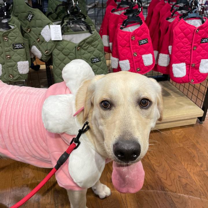 54da35e3 c6a7 42d4 bc61 1bbca9710254 1634602957079