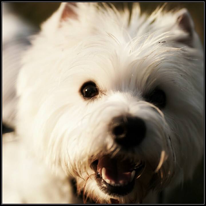 54da7ed3 f181 4350 9945 5f2bbc20d87e 1512393934074