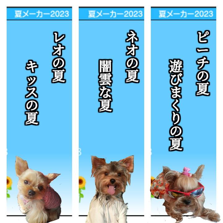 54da9a1a 8254 44f5 af3d 9a9a002abe20 1690000880073