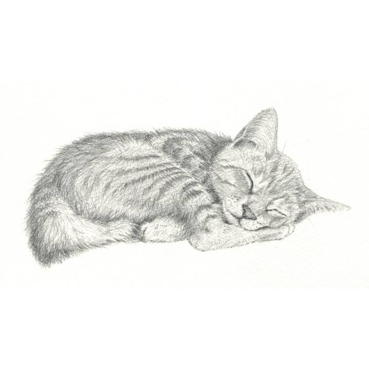 54dae90e bbff 47bb 9c19 e7be1351b967 1539695178893