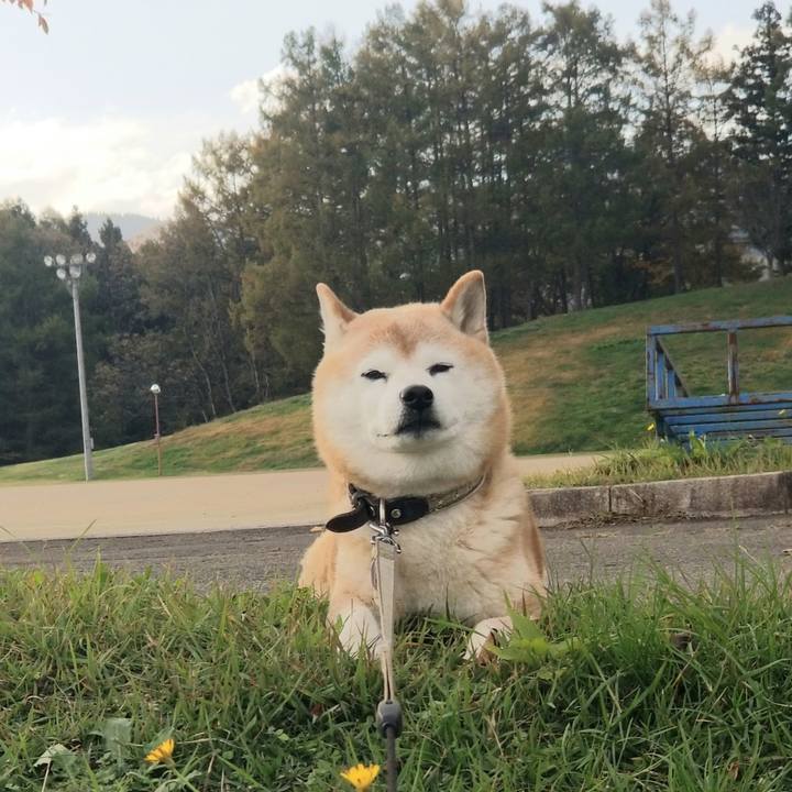 54daf37c 7f2d 41e5 ae19 e4e1fb78d1b6 1699337439398