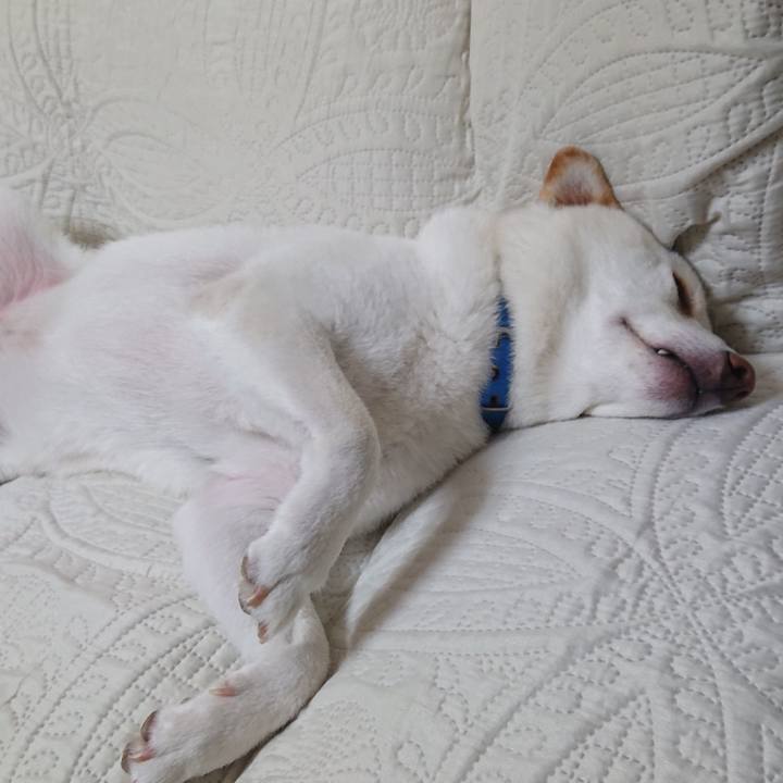 54db1be4 a4ca 4ce3 9a92 406cb0a6f655 1567431263474