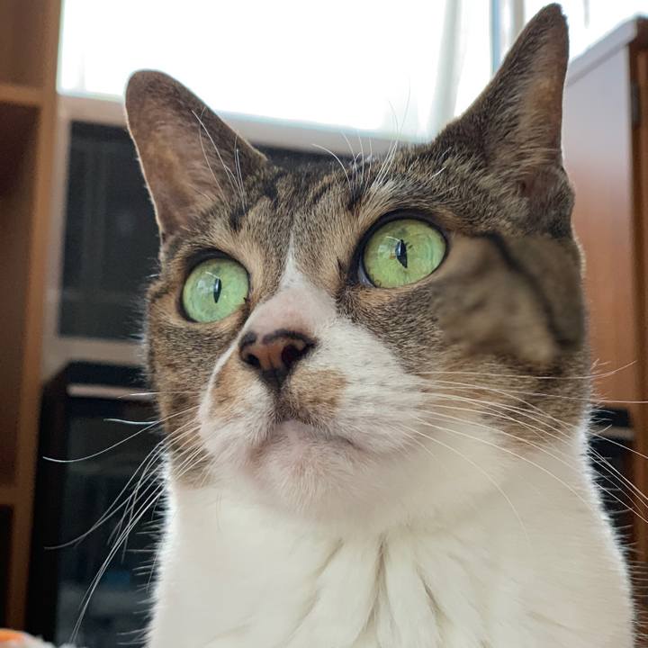 54db31f8 8402 461b 8702 7e93d9b3a7e2 1543195954981