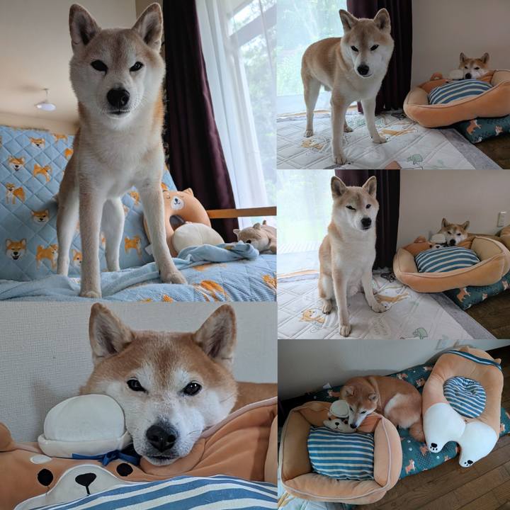 54db5394 c9a6 4d92 bb5b 2dff7f6122f3 1755997056286