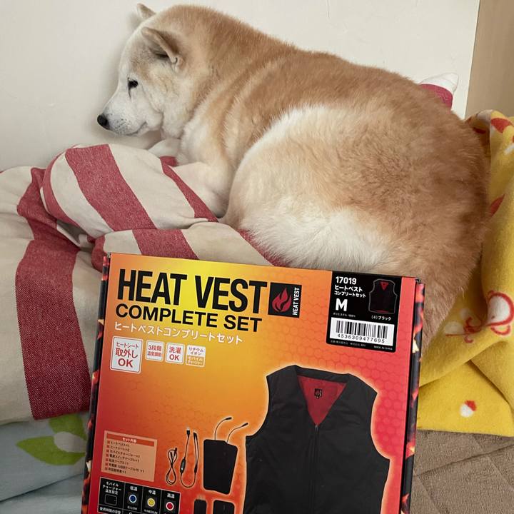 54db7a5d 4b60 4ac8 875e 515e340dd95a 1641709851052