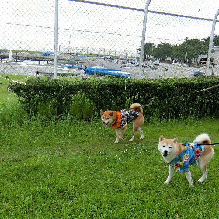 54db8679 6a3b 4ab1 a08f c144222f8068 1563197306869