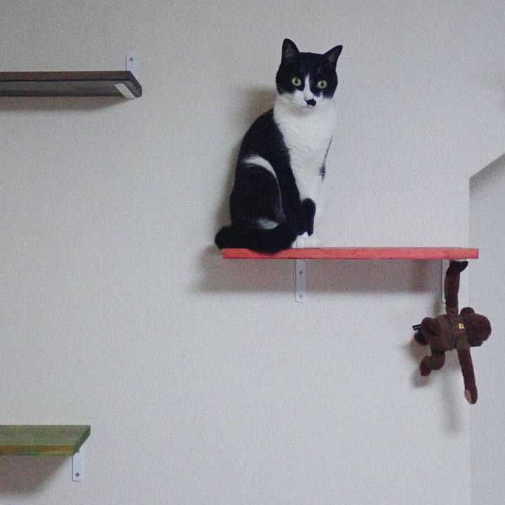 54dba83e a930 488f 8c13 27c5ef4c519c 1527439187607