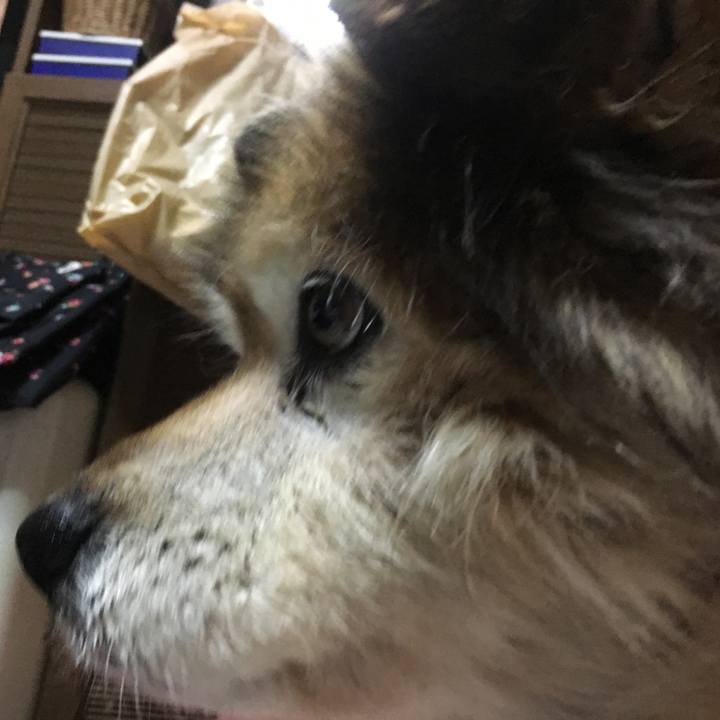 54dbab7c 8131 453d b8d3 30294bd22ecd 1559997386054