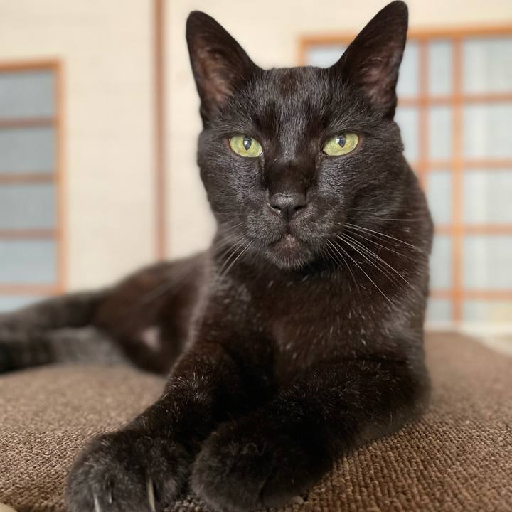 54dbace4 943d 4d56 be34 da6dc6b23ebb 1654221588557