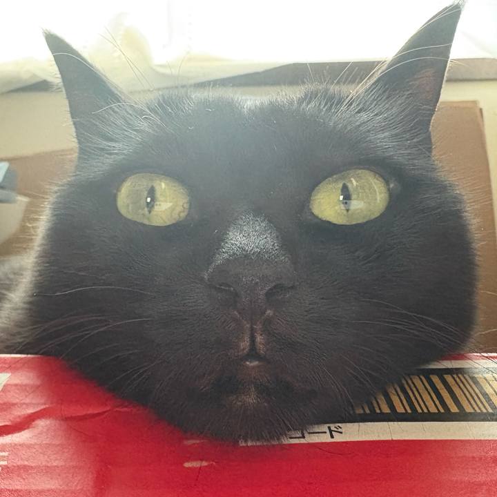 54dbb59e 0c64 46d8 ab84 b87813eadacb 1756735802458