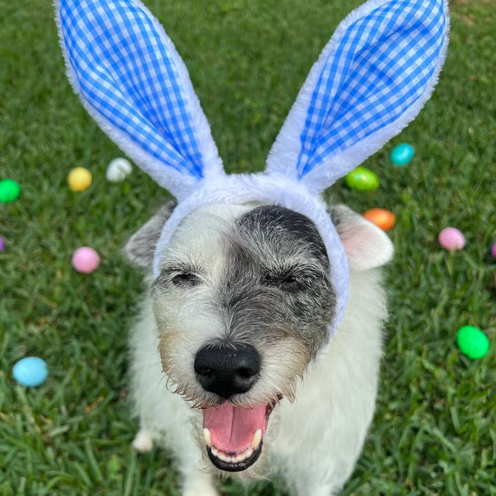 54dc36a9 3abe 4111 aa77 7b45d145e9b7 1680994150179