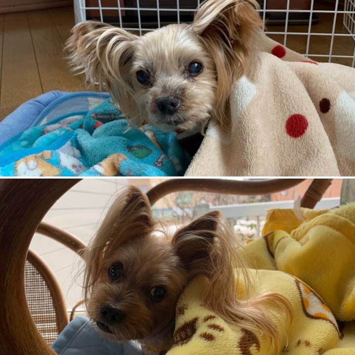 54dc4e99 7dae 48d7 85c5 5c73e2b0f58d 1619087361767