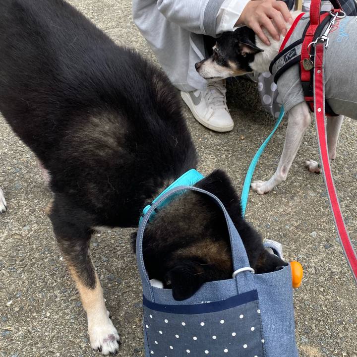 54dc5092 8533 40eb aa1a 69f85b31d82b 1572180116851