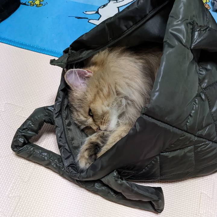 54dc5095 421e 4628 af9b 0afab642be5a 1696636770730