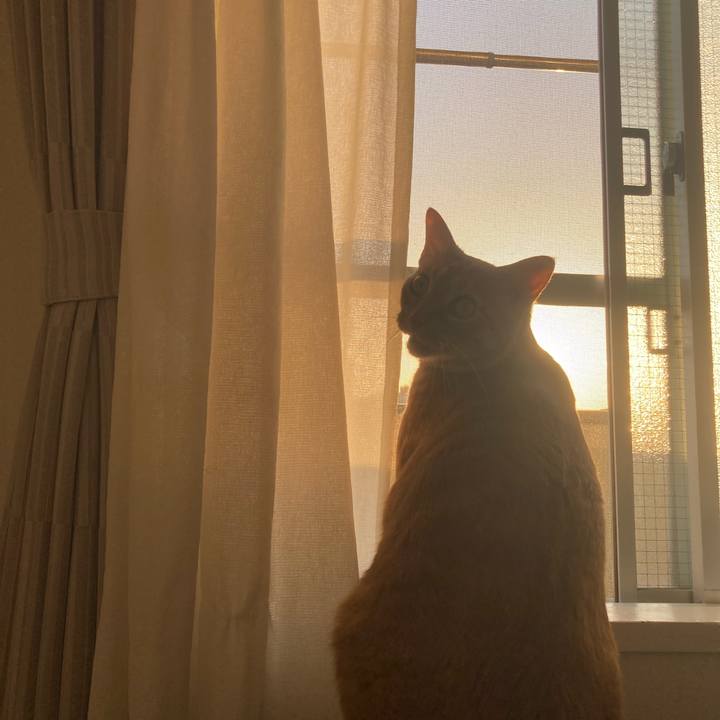 54dc867c bcac 4b95 9b84 c1e9cea333f8 1616502938560