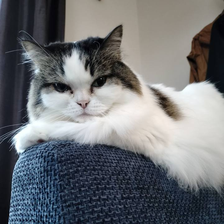 54dcca4e b064 43ea b939 d56da2736a32 1768889799726