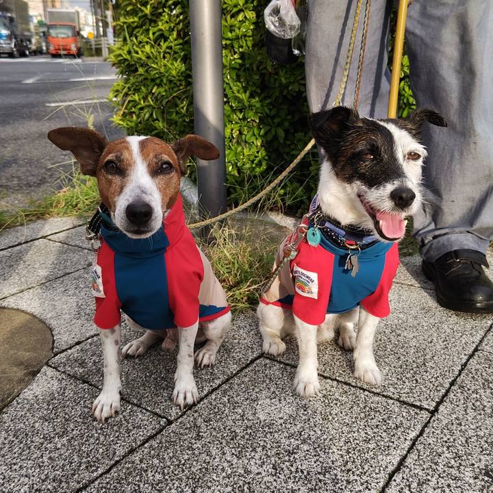 54dcf9c1 4a6f 463e 9bdb 9c9511047bc6 1726696028719