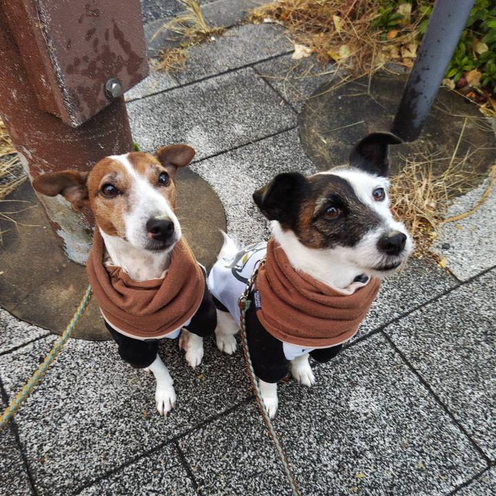 54dd112f 7750 40a2 9b51 af654b40df05 1736284240968