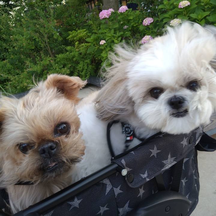 54dd1ab6 886f 4a40 a0ca 96da2316db81 1654408762581