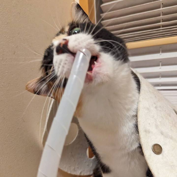 54dd74a7 c2ad 429b 9a15 5a73096713a1 1702009197598