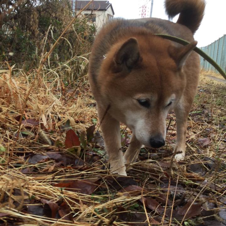 54dd7627 db57 4188 8dcd df0c87ccf5b6 1611469096731