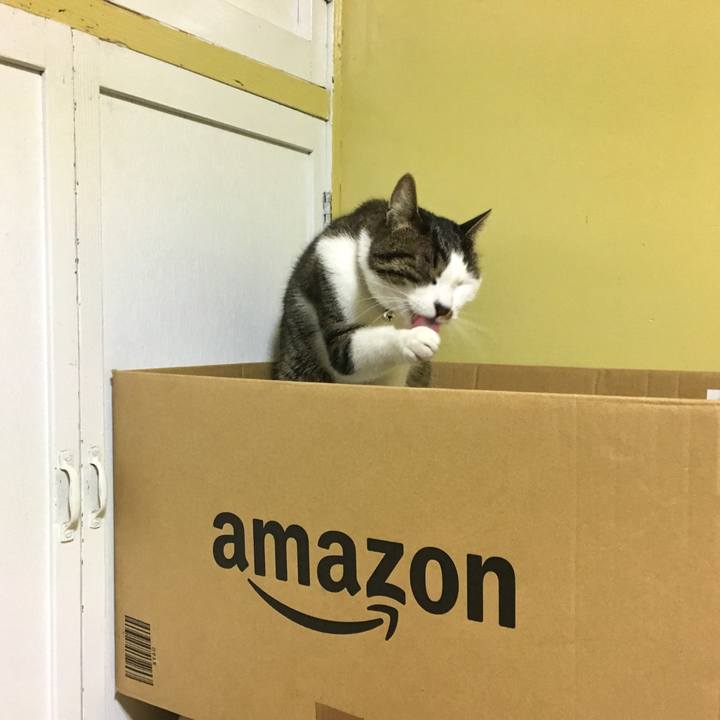 54dd8028 9f40 4788 ad2c 77c8b59e221f 1546608309995