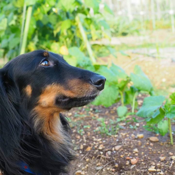 54ddb783 e886 450c b70f 8ee7d1824789 1530064475320