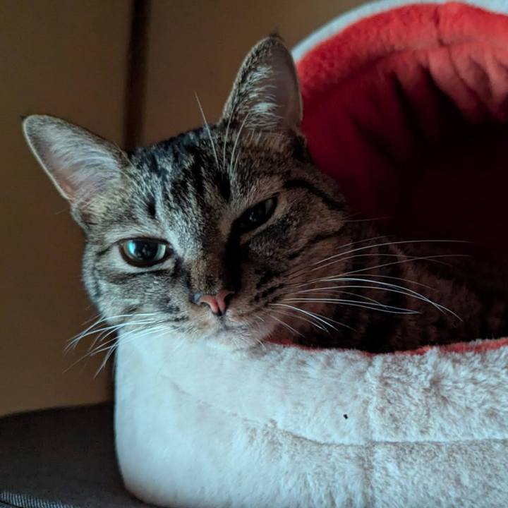 54ddee7e 972e 49e2 ac40 3bcd4f6ae6ac 1749016300980