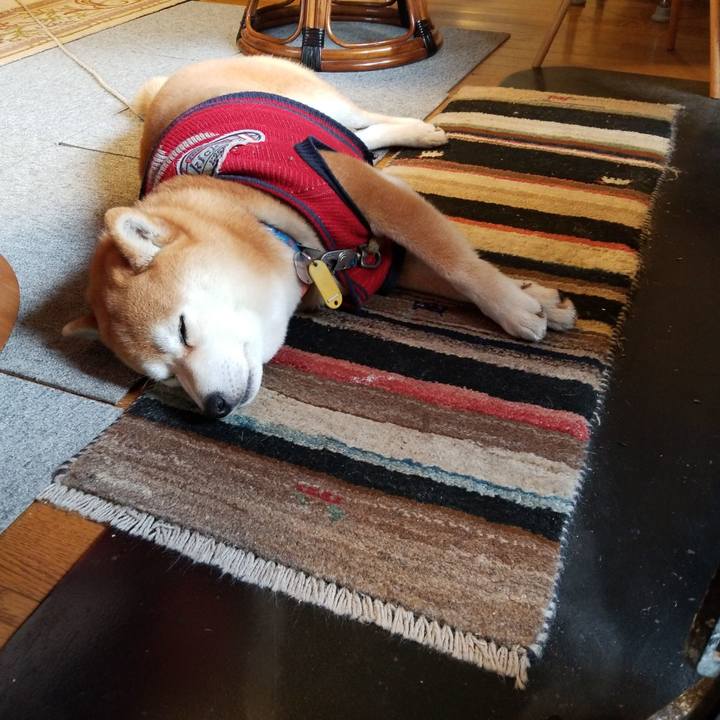 54de1465 e44c 425f a39d ad1e2e78782e 1554940774182