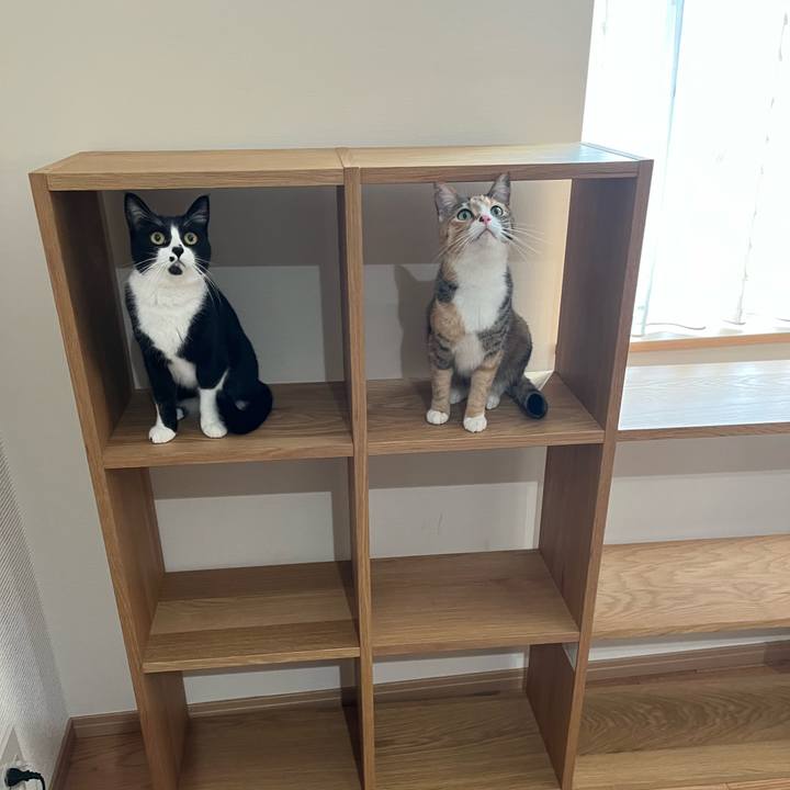 54de31bb d8e9 4fb2 ba77 13aca68fa57b 1647903747715