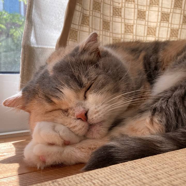 54de3907 7d82 441f a3de 70df3af64bab 1599212570259