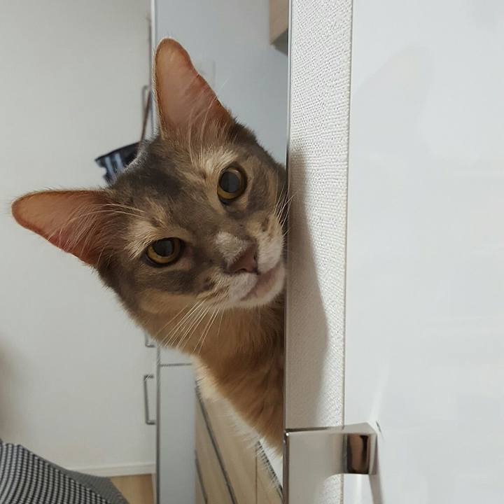 54de49eb 4188 4314 bd88 f8aad8716e9e 1562590956913