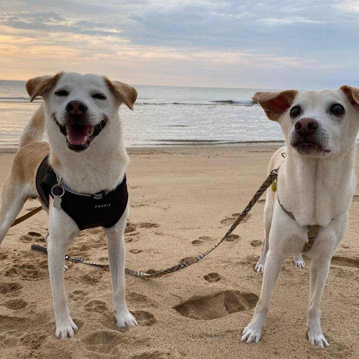 54de50c3 b739 4e97 af8c 645321518080 1631080078249