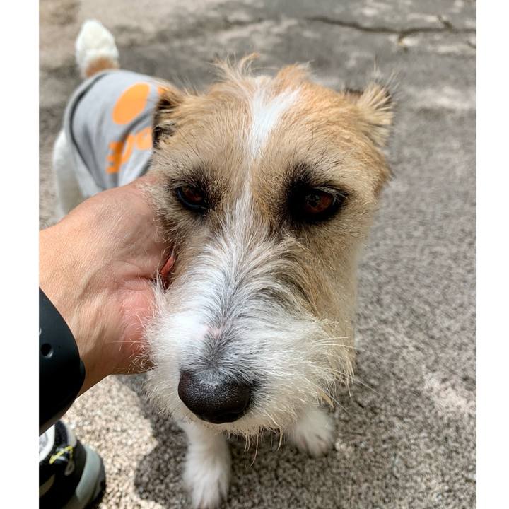 54deb1d4 2c4b 4795 aa84 f7013f7f92eb 1684055279833