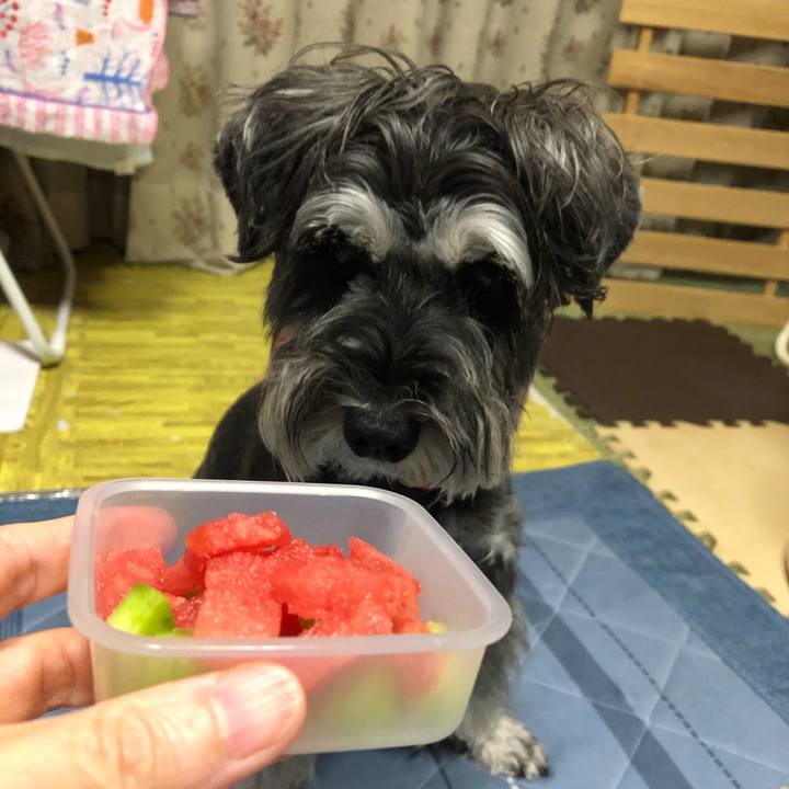 54df04ef 0e98 4036 8c79 2f4b2adb0b84 1693054269151