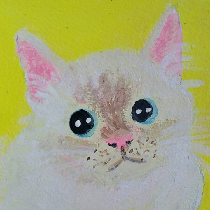 54df240a 1446 41b8 a3b0 9fc24df2045b 1534061018035